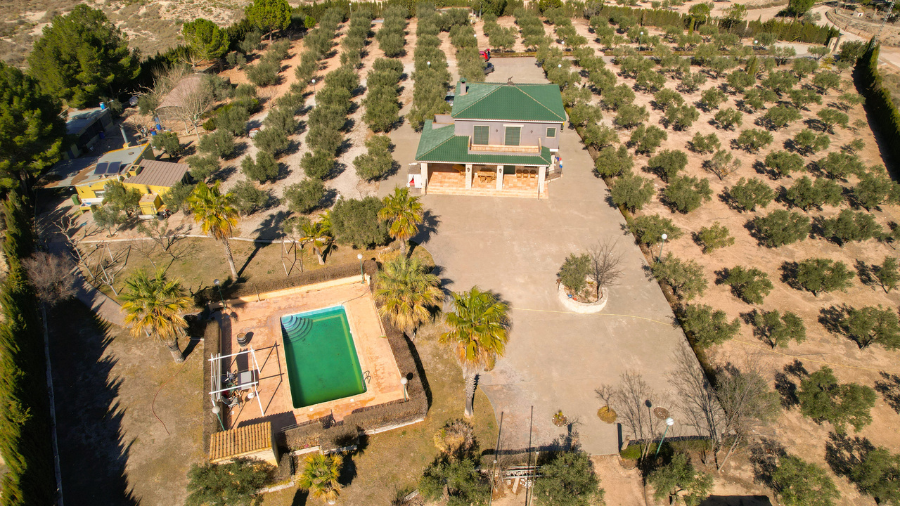 Olive Grove Estates Best Estate Agency in Spain Alicante Almansa (1)