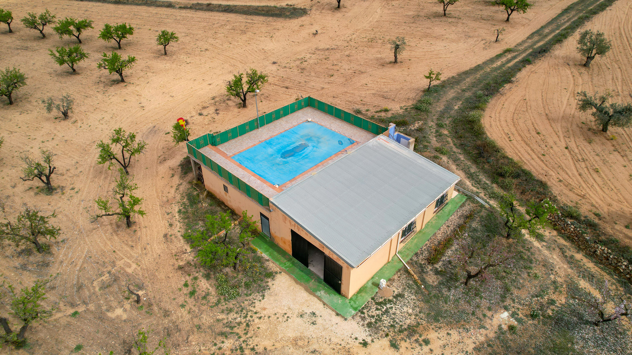 Olive Grove Estates Honest Real Estate Spain Homes (6)