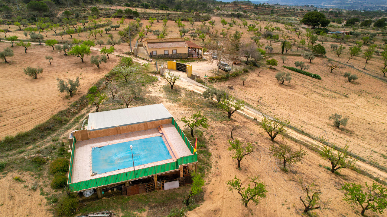 Olive Grove Estates Honest Real Estate Spain Homes (7)