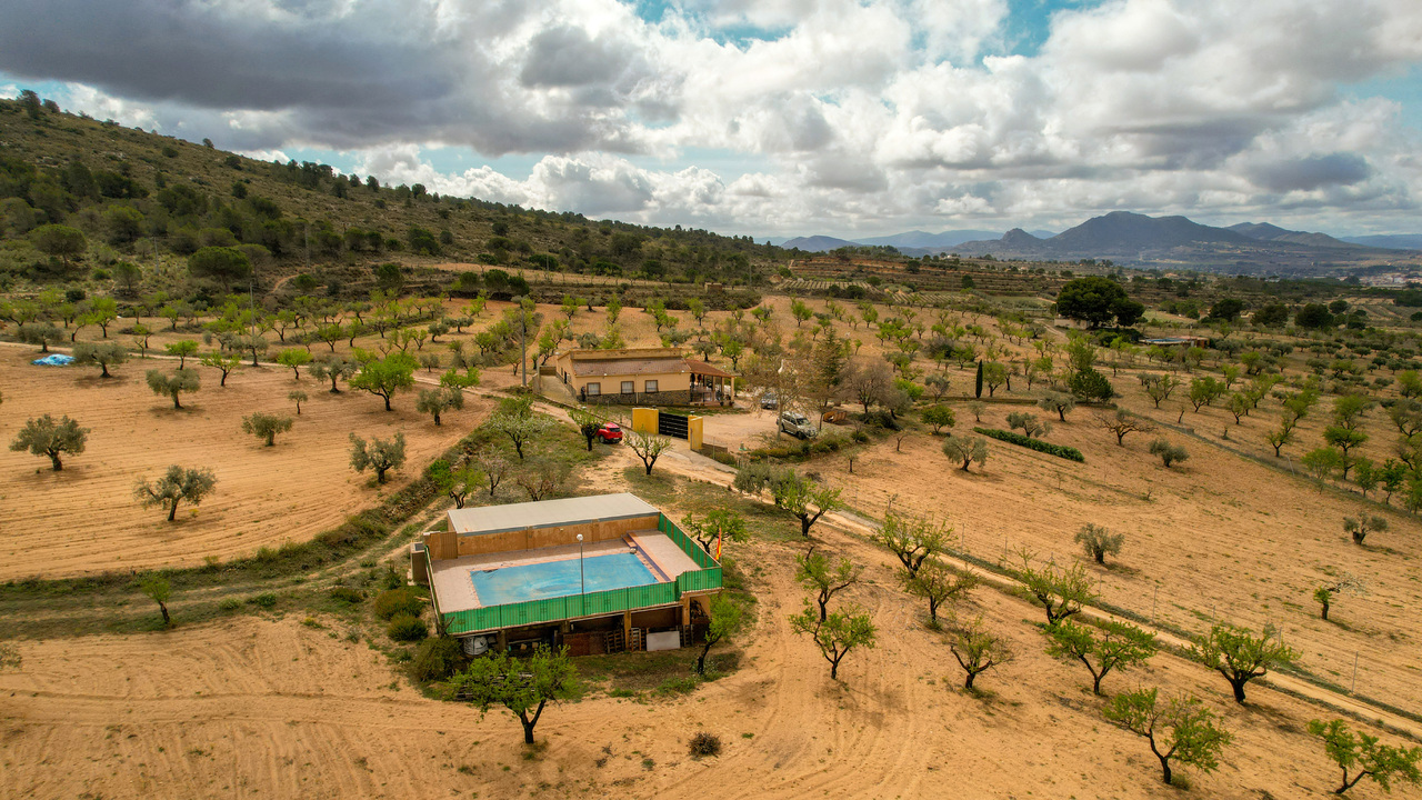 Olive Grove Estates Honest Real Estate Spain Homes (8)