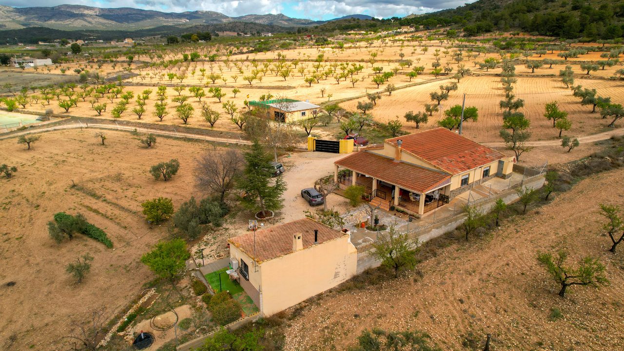 Olive Grove Estates Honest Real Estate Spain Homes (10)