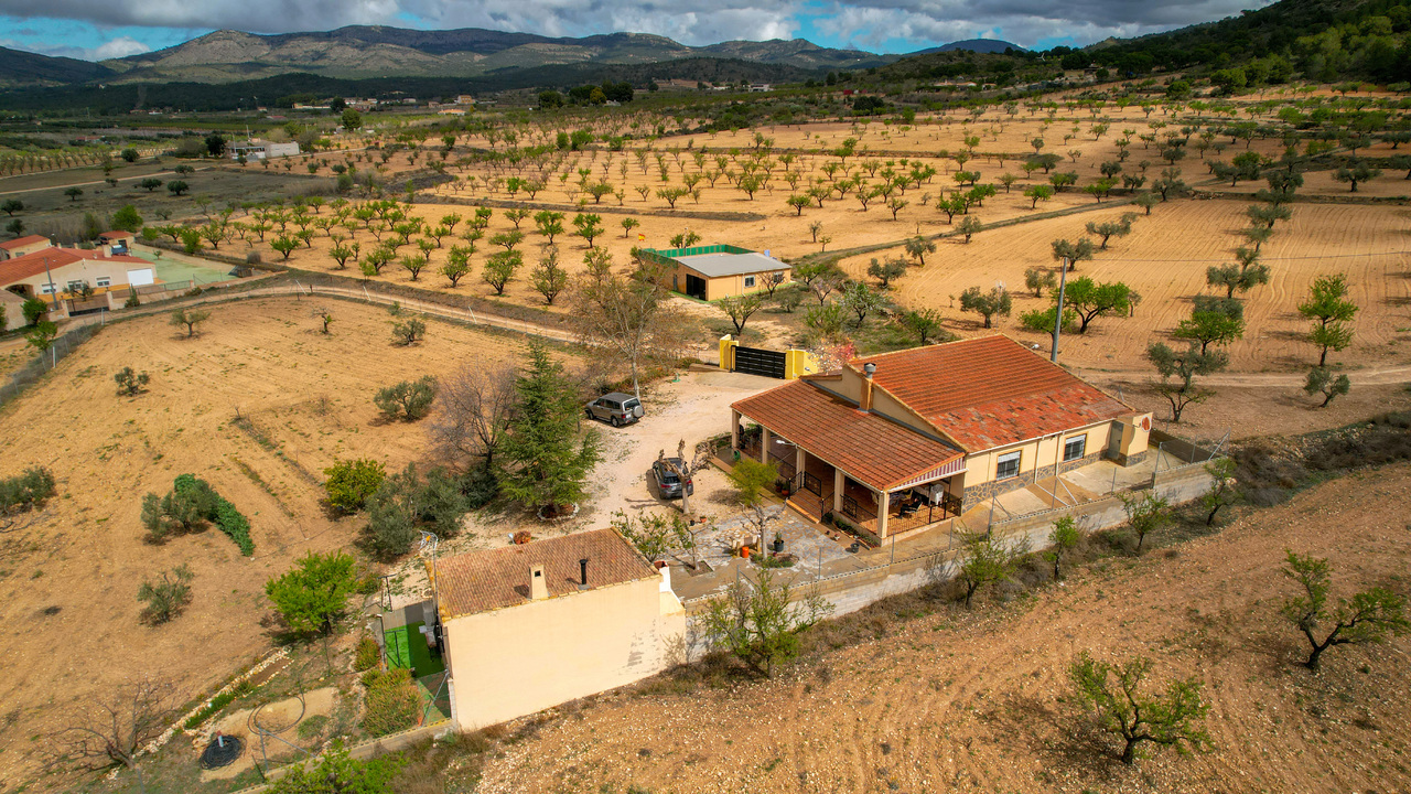 Olive Grove Estates Honest Real Estate Spain Homes (11)