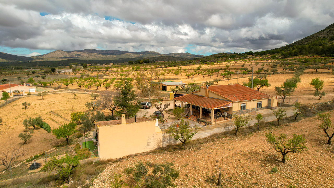 Olive Grove Estates Honest Real Estate Spain Homes (12)