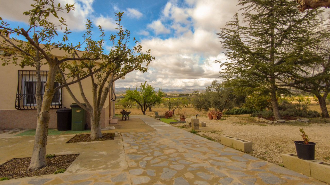 Buy a property in spain Olive grove estates casa house (19)