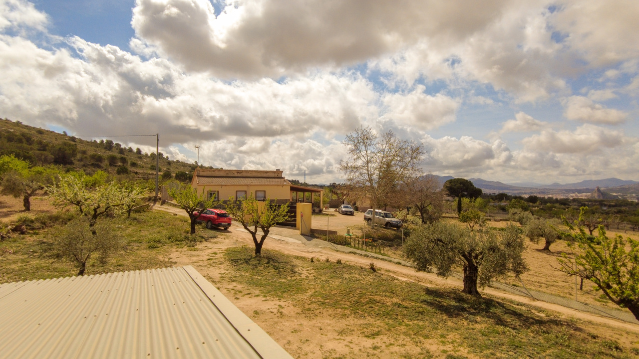 Buy a property in spain Olive grove estates casa house (26)