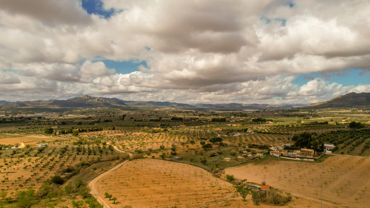 Buy a property in spain Olive grove estates casa house (33)
