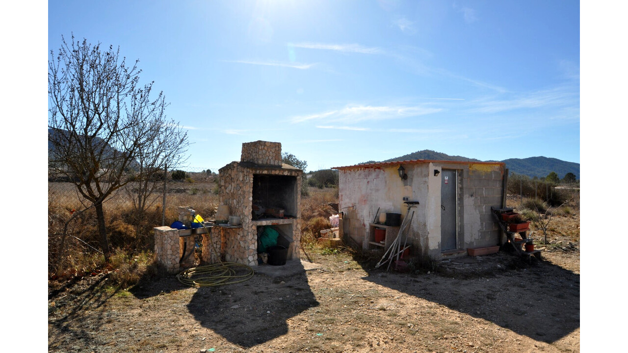 Olive Grove Estates Salinas Alicante Spanish Property House for sale (2)