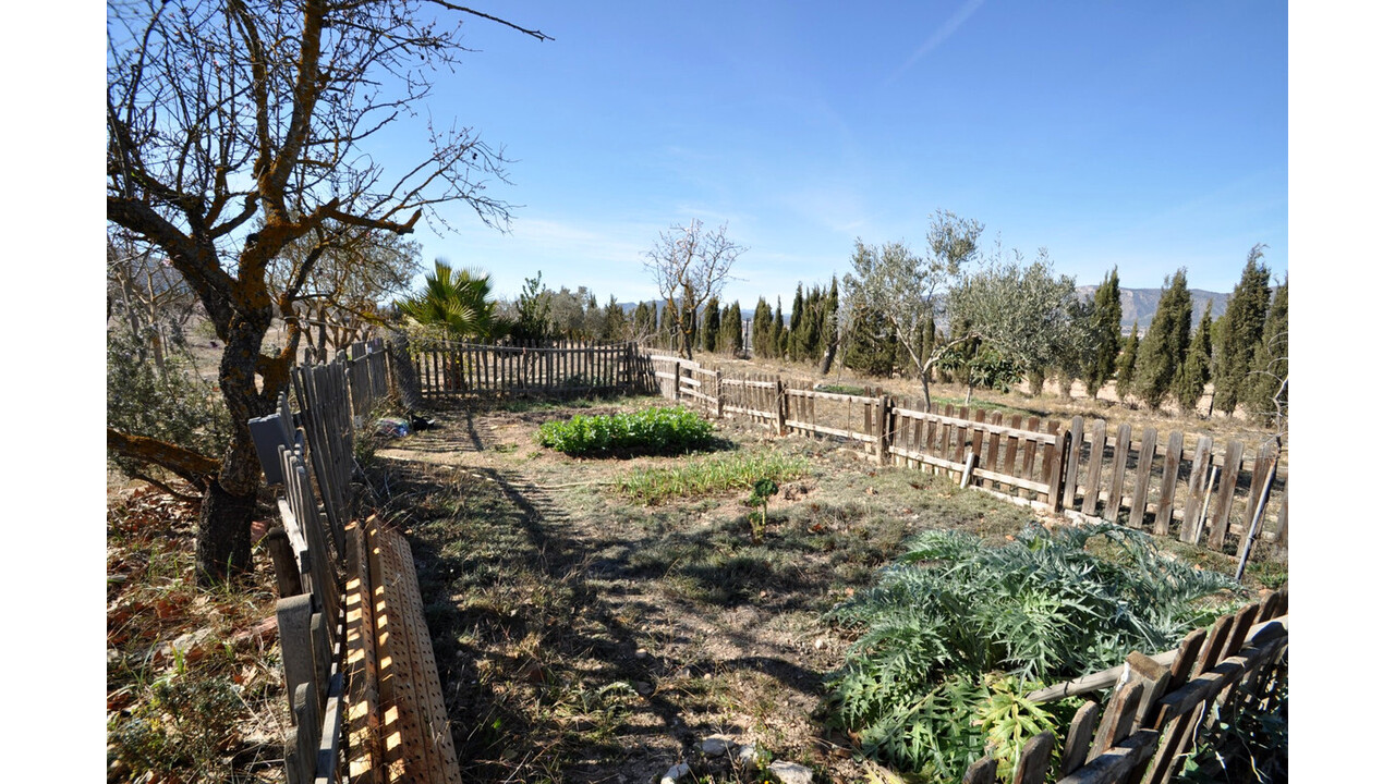 Olive Grove Estates Salinas Alicante Spanish Property House for sale (3)