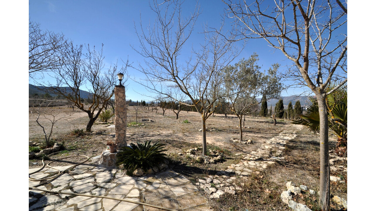 Olive Grove Estates Salinas Alicante Spanish Property House for sale (4)