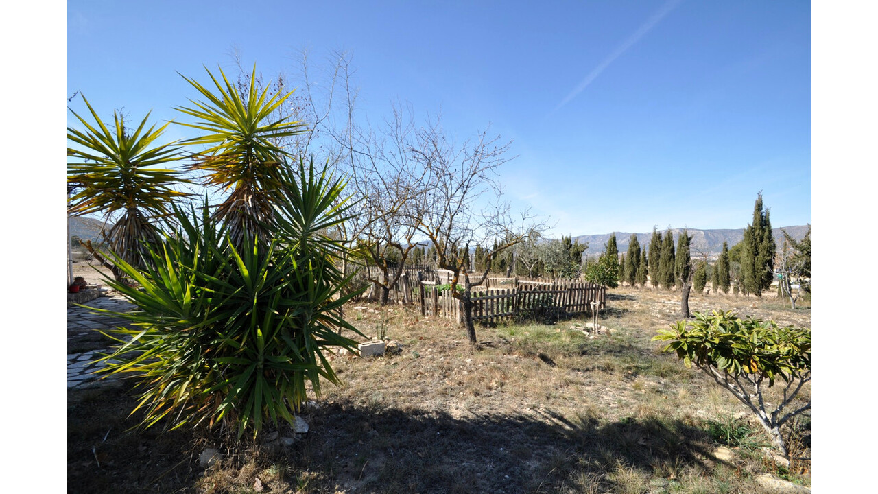 Olive Grove Estates Salinas Alicante Spanish Property House for sale (7)