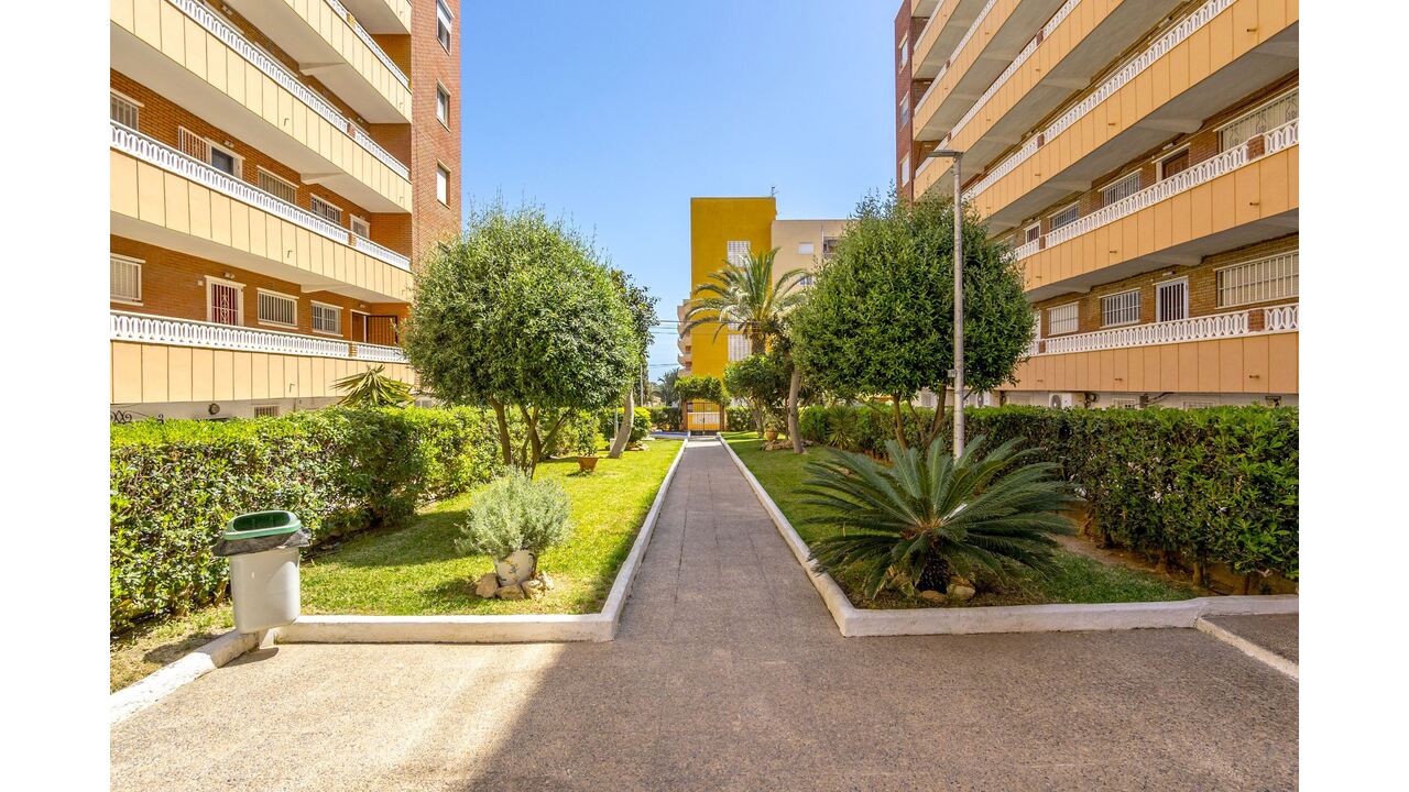 Olive Grove Estates Alicante holiday apartments spain real estates beach (15)