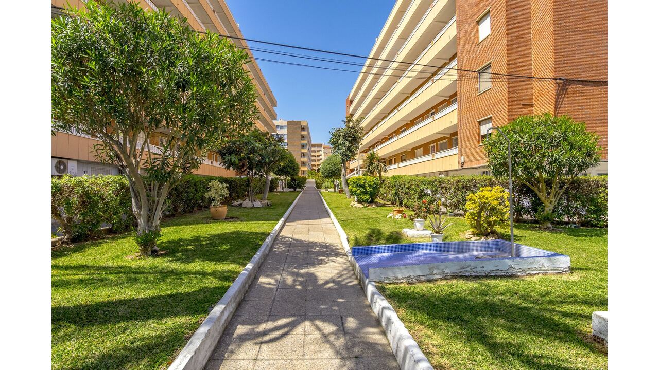 Olive Grove Estates Alicante holiday apartments spain real estates beach (21)