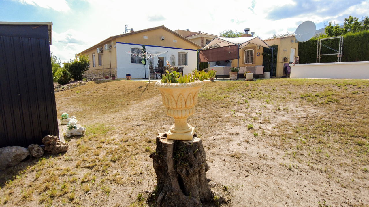 Olive Grove Estates best real estae agents in Alicante Spain bargains (35)