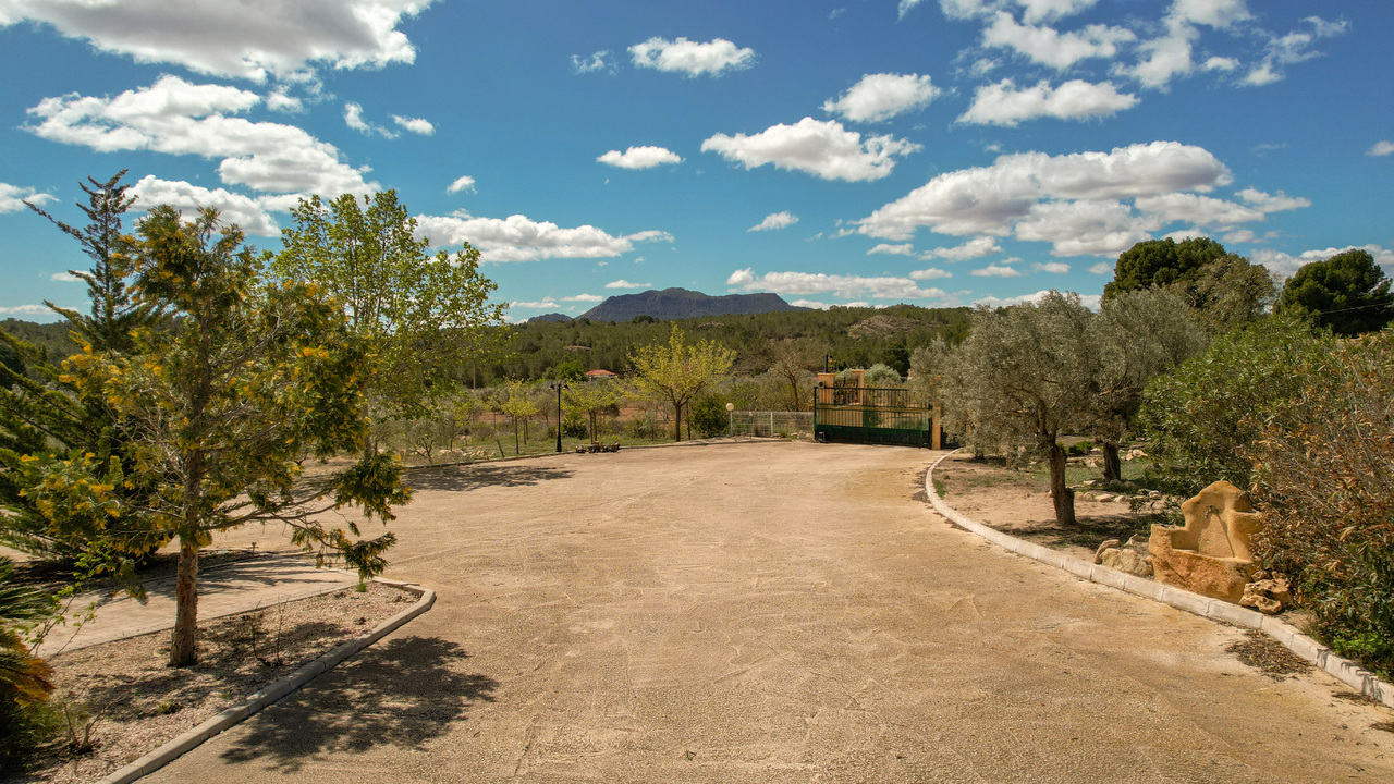 Olive Grove Estates Spanish property realtor agency real Sax Alicante Trusted (36)
