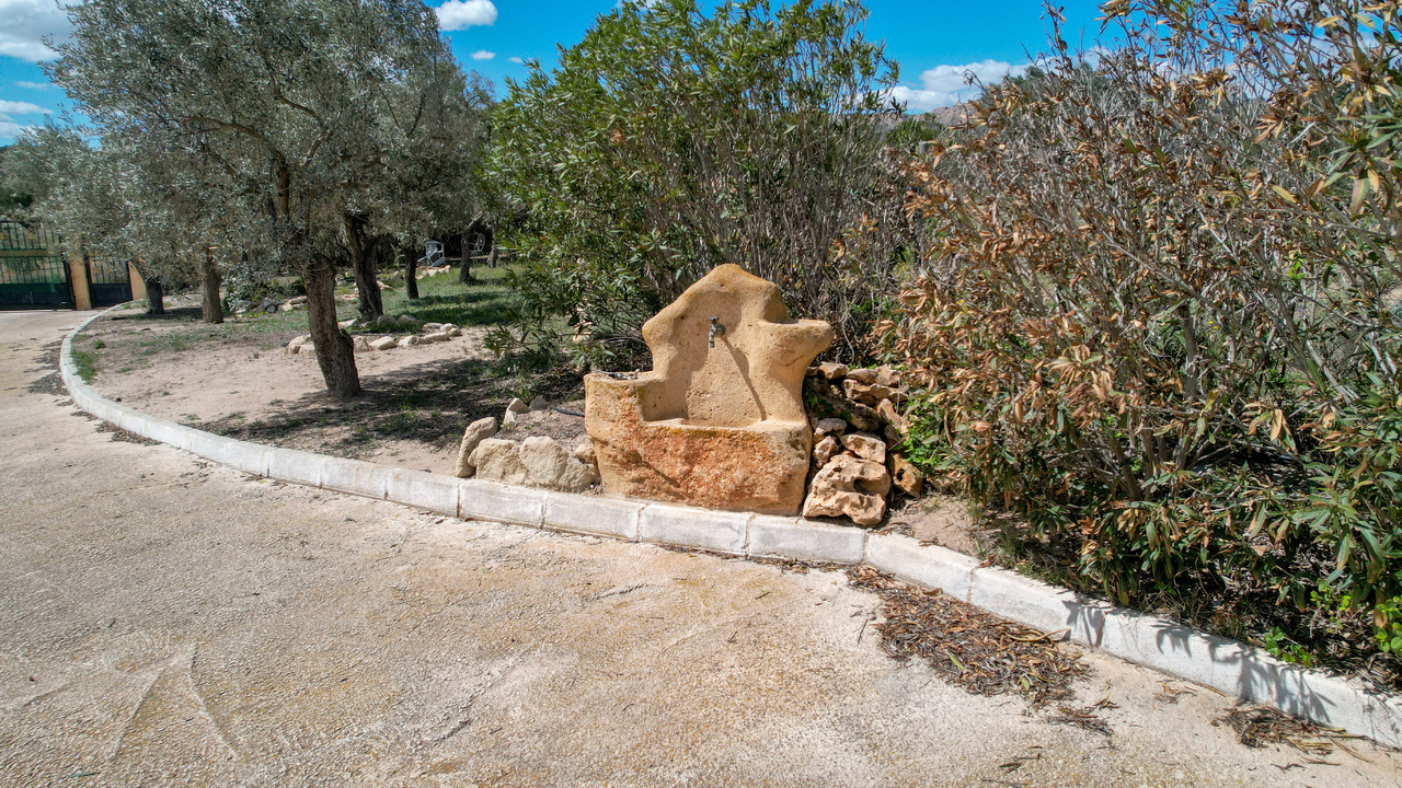 Olive Grove Estates Spanish property realtor agency real Sax Alicante Trusted (40)