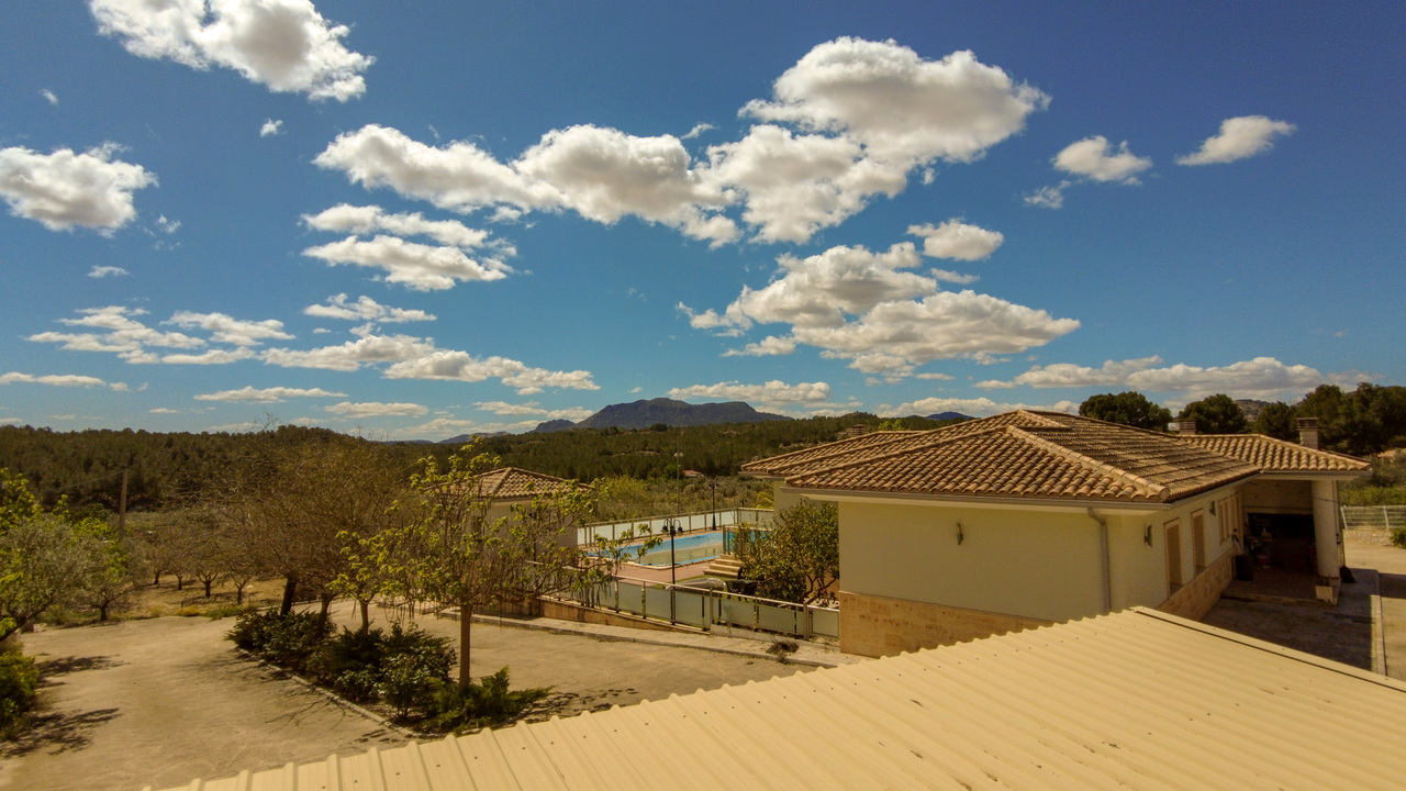 Olive Grove Estates Spanish property realtor agency real Sax Alicante Trusted (44)