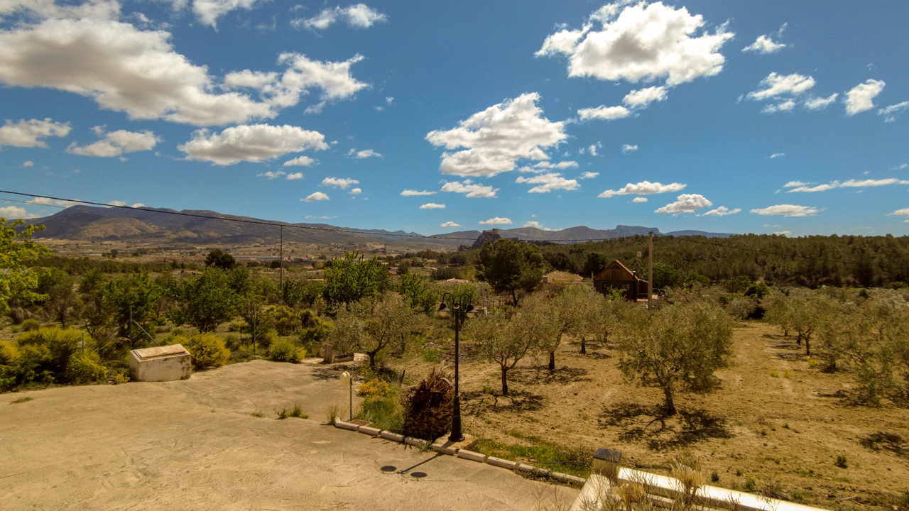Olive Grove Estates Spanish property realtor agency real Sax Alicante Trusted (51)