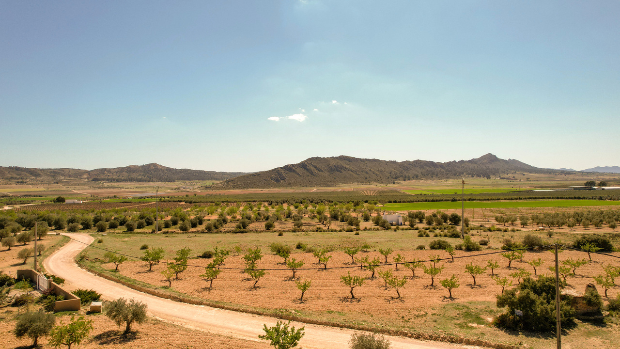 Olive Grove Estates Caudete Countryside properties for sale in Spain  (1)