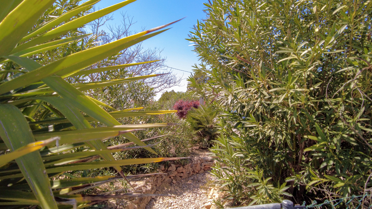 Caudete Countryside Spanish dream villa Olive Grove Estates (25)