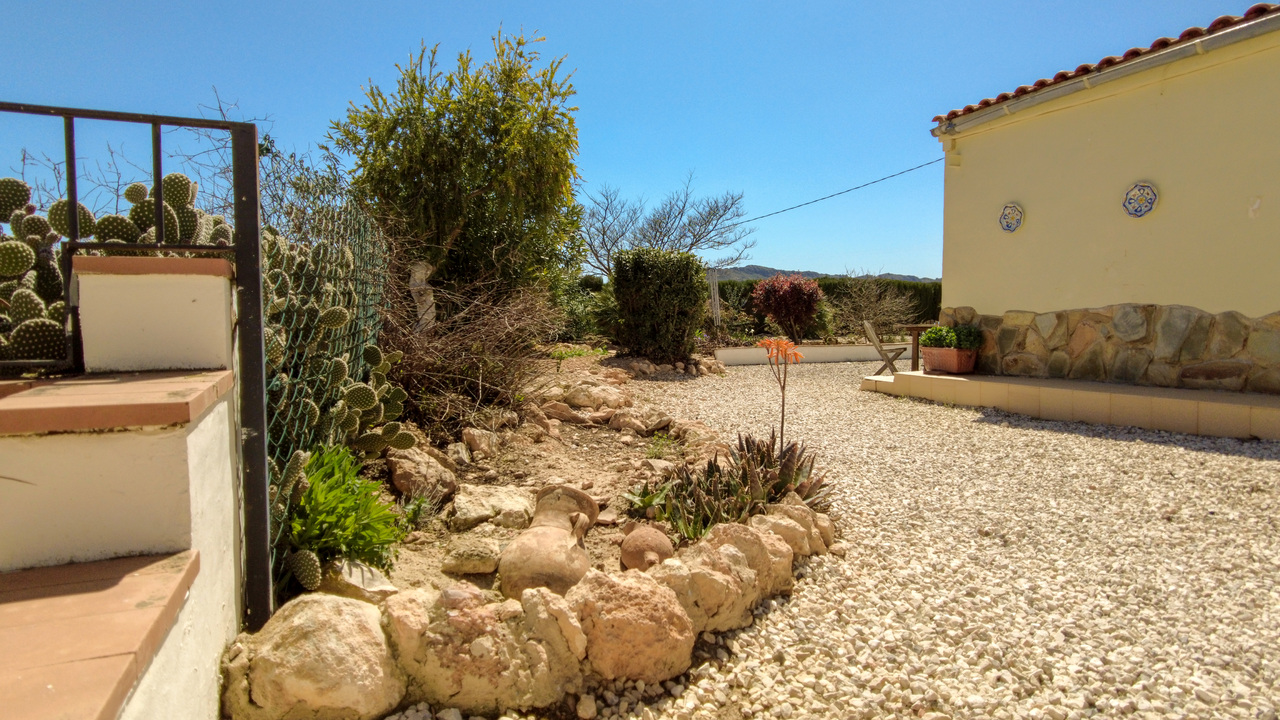 Caudete Countryside Spanish dream villa Olive Grove Estates (28)