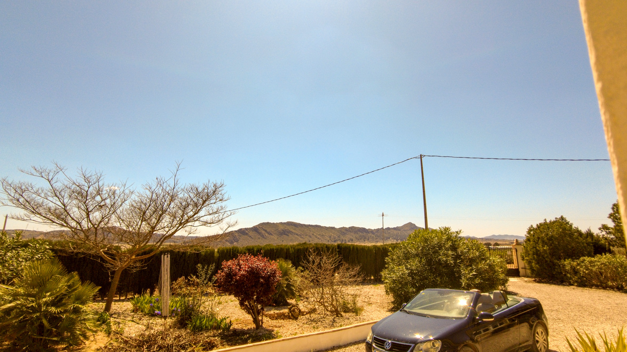 Caudete Countryside Spanish dream villa Olive Grove Estates (29)