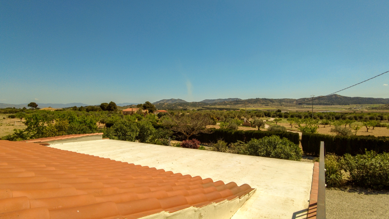 Caudete Countryside Spanish dream villa Olive Grove Estates (34)