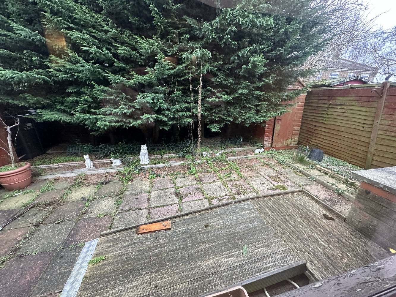 Garden 1.JPG