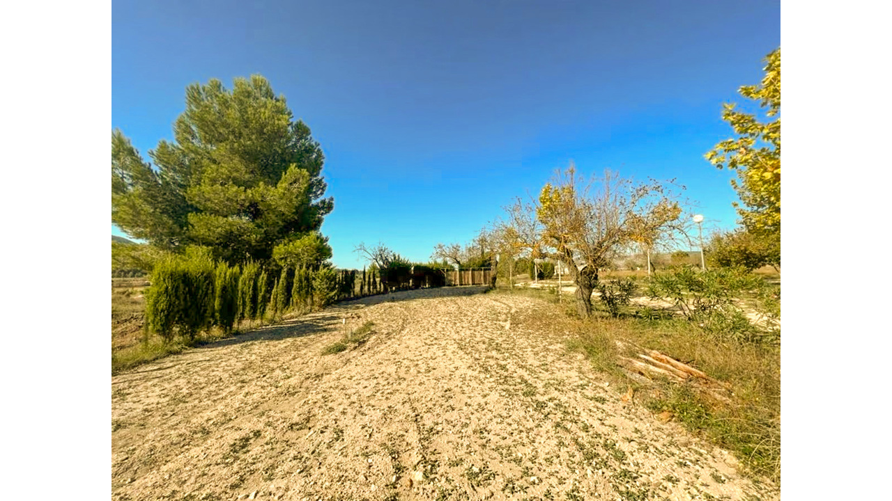 Olive Grove Estates Banyeres Alicante Countryside retreat (3)