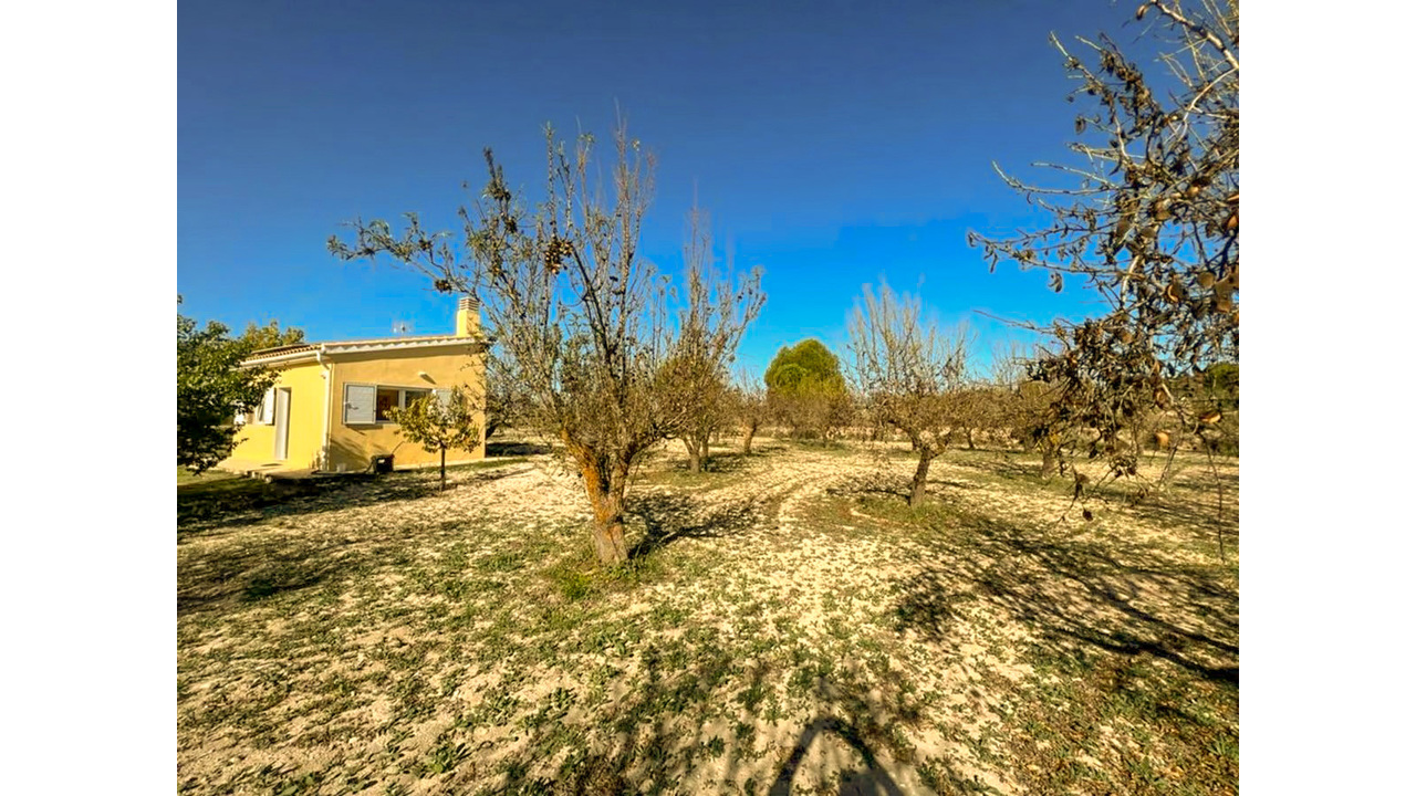Olive Grove Estates Banyeres Alicante Countryside retreat (11)