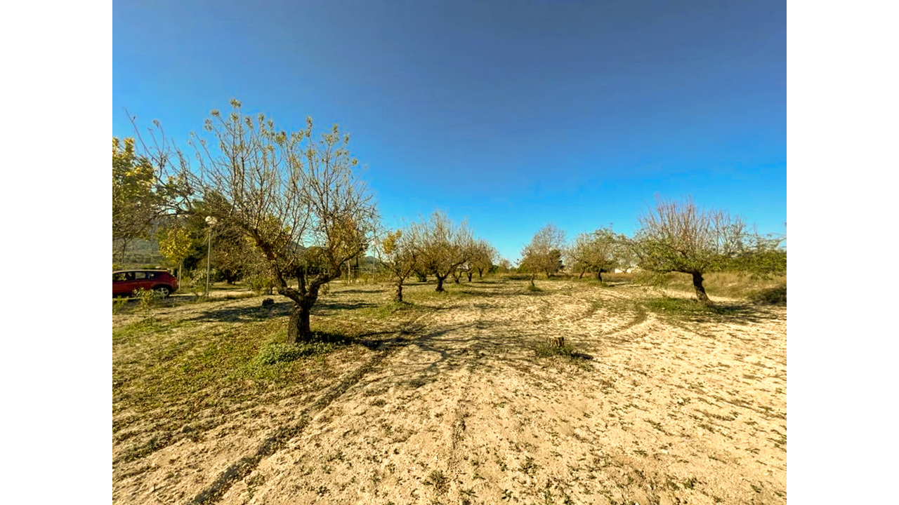 Olive Grove Estates Banyeres Alicante Countryside retreat (12)
