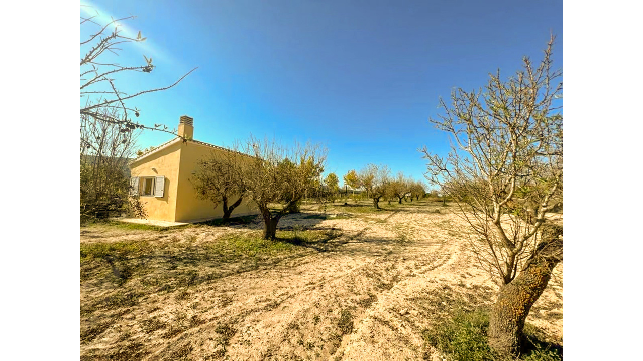 Olive Grove Estates Banyeres Alicante Countryside retreat (17)