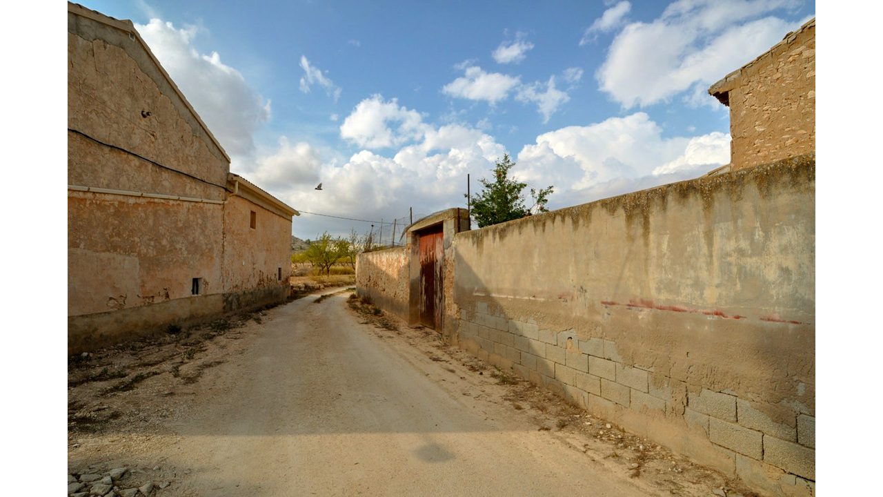 Olive Grove Estates Pinoso Alicant Country House Finca Villa (3)