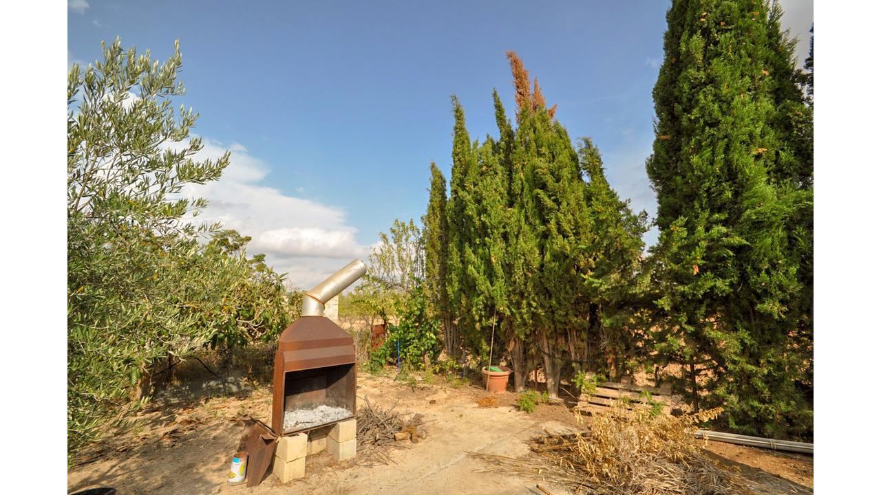 Olive Grove Estates Pinoso Alicant Country House Finca Villa (4)