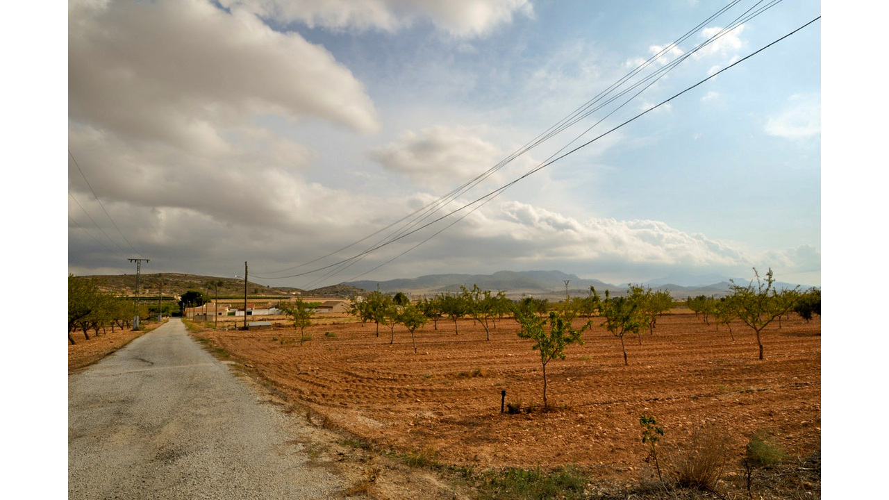 Olive Grove Estates Pinoso Alicant Country House Finca Villa (8)