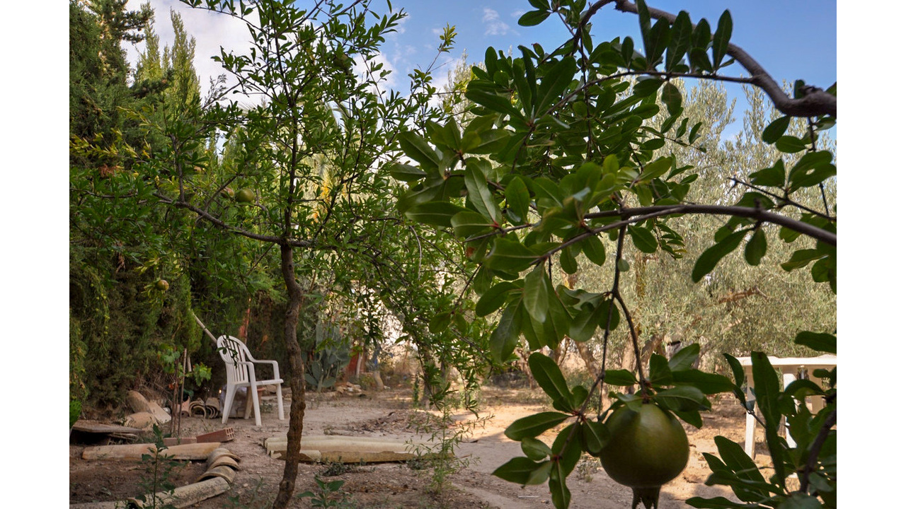 Olive Grove Estates Pinoso Alicant Country House Finca Villa (18)