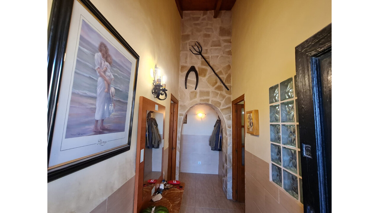Olive Grove Estates Spanish villa for sale Pinoso Alicante (17)