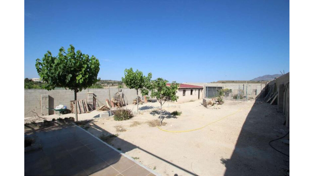 Olive Grove Estates Spanish villa for sale Pinoso Alicante (19)