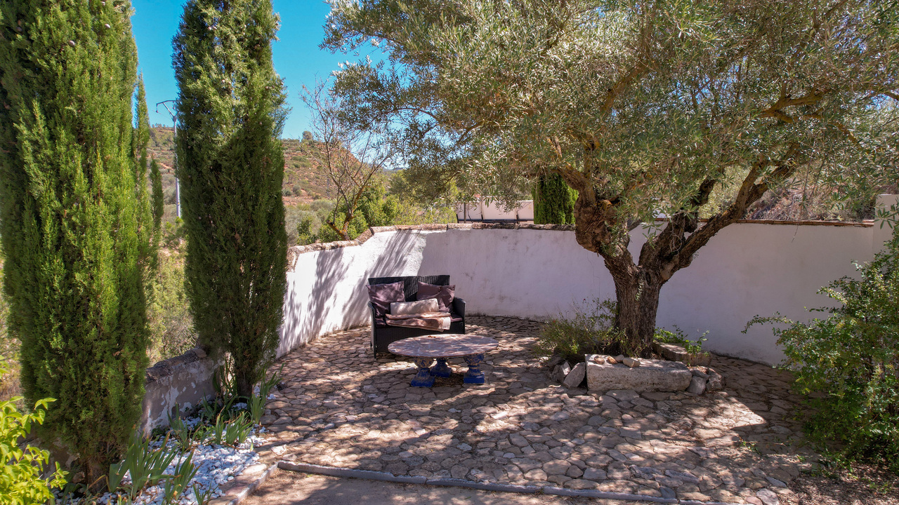 Olive Grove Estates Recommended Trusted Spaninish Agency Caudete Alicante (4)