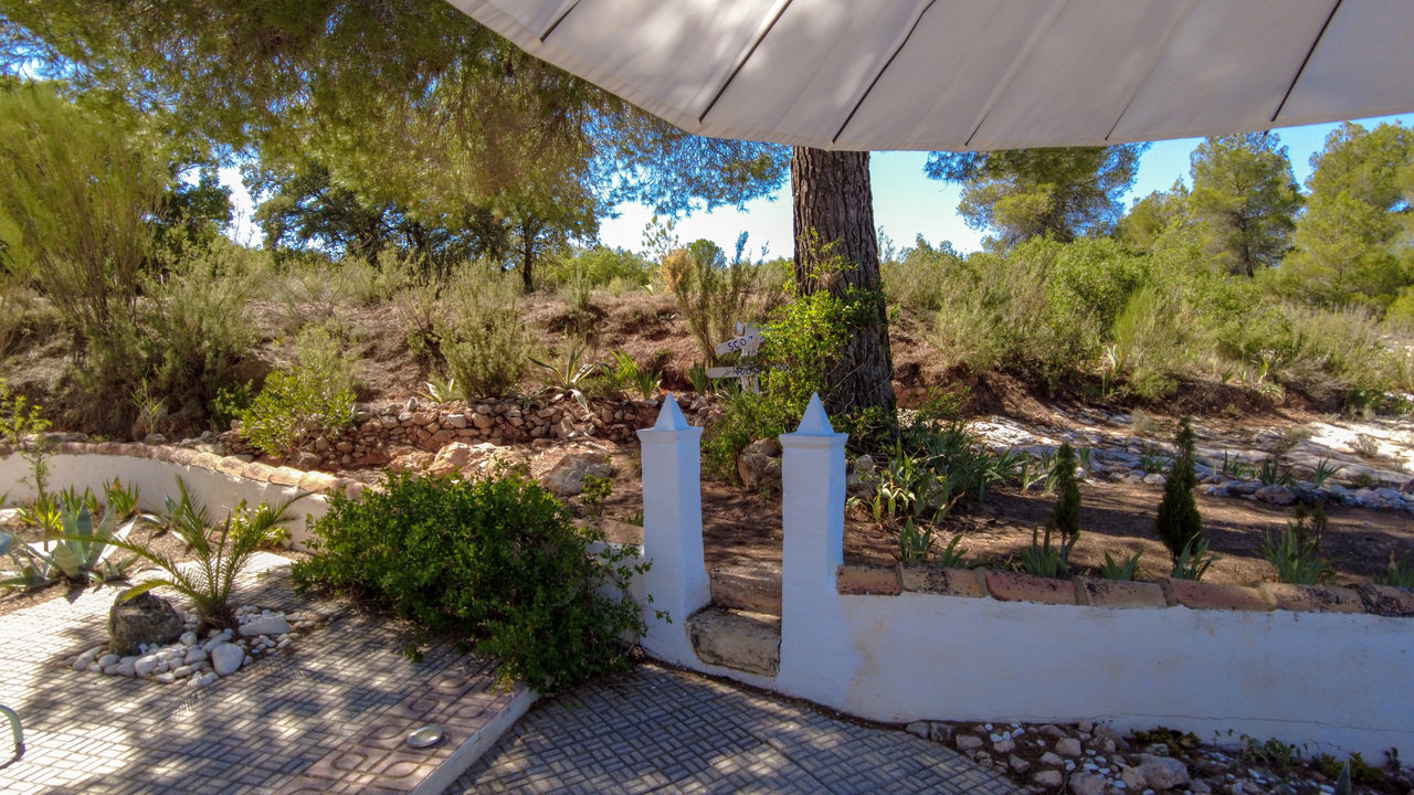 Olive Grove Estates Recommended Trusted Spaninish Agency Caudete Alicante (14)