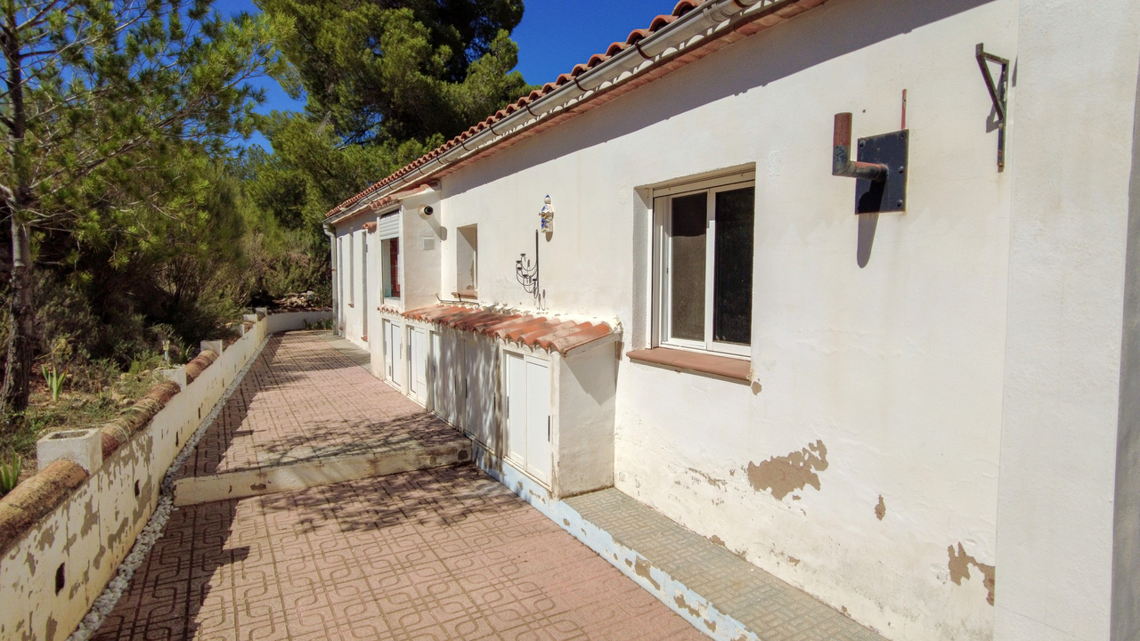 Olive Grove Estates Recommended Trusted Spaninish Agency Caudete Alicante (35)