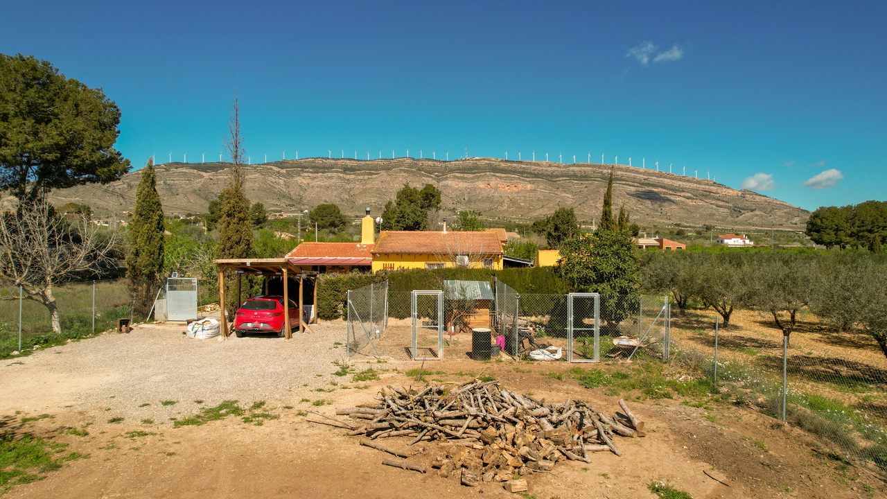 Olive Grove Estates Spanish Property Agency Caudete Alicante Best (16)