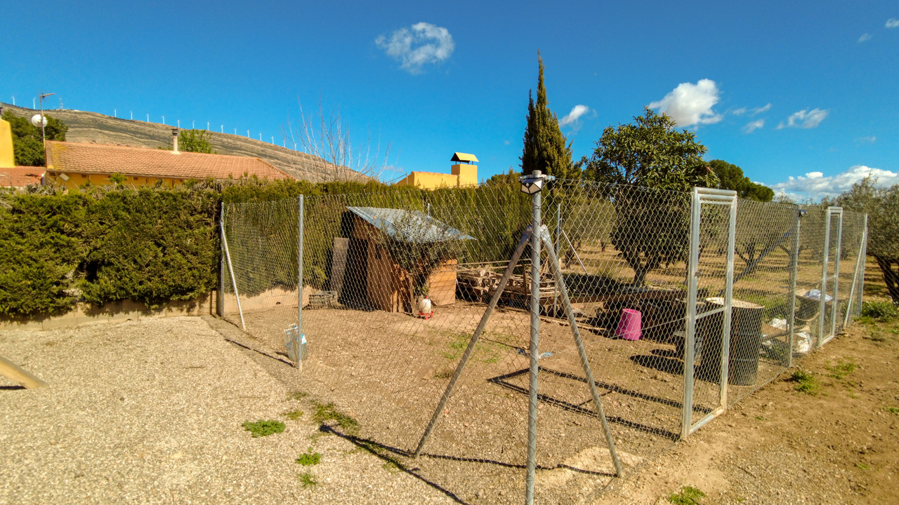 Olive Grove Estates Spanish Property Agency Caudete Alicante Best (17)