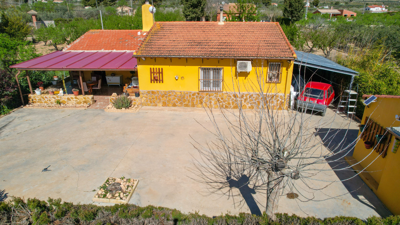Olive Grove Estates Spanish Property Agency Caudete Alicante Best (22)