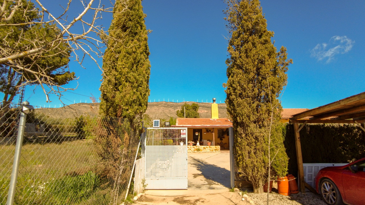 Olive Grove Estates Spanish Property Agency Caudete Alicante Best (25)