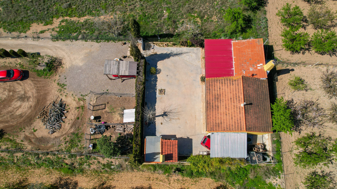 Olive Grove Estates Spanish Property Agency Caudete Alicante Best (26)