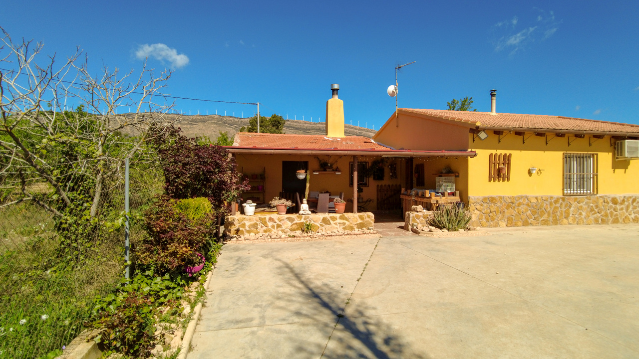 Olive Grove Estates Spanish Property Agency Caudete Alicante Best (28)