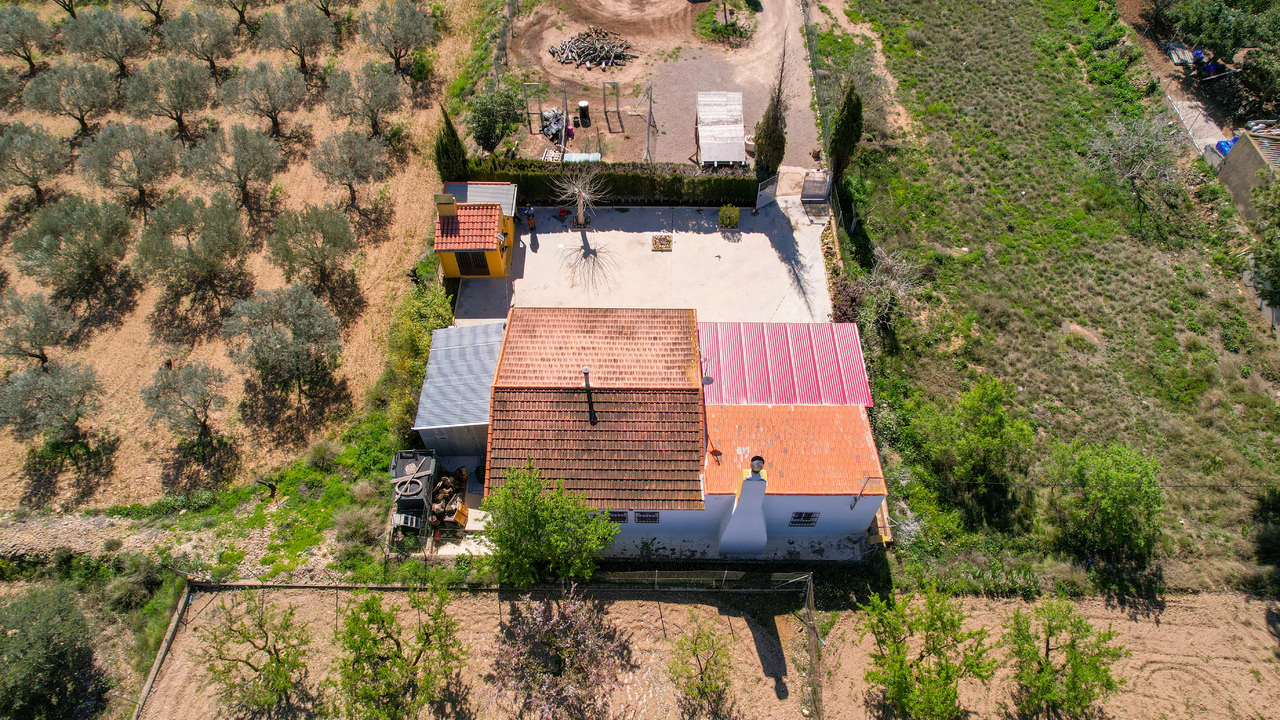 Olive Grove Estates Spanish Property Agency Caudete Alicante Best (30)