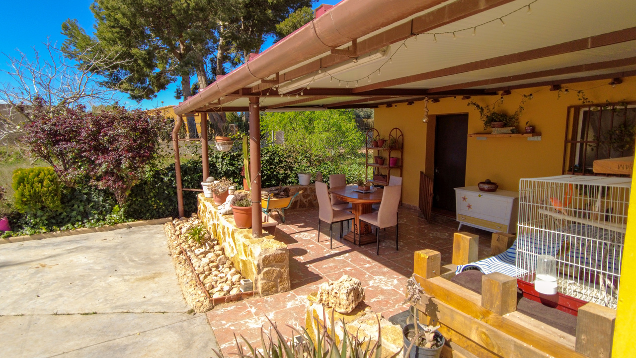 Olive Grove Estates Spanish Property Agency Caudete Alicante Best (31)
