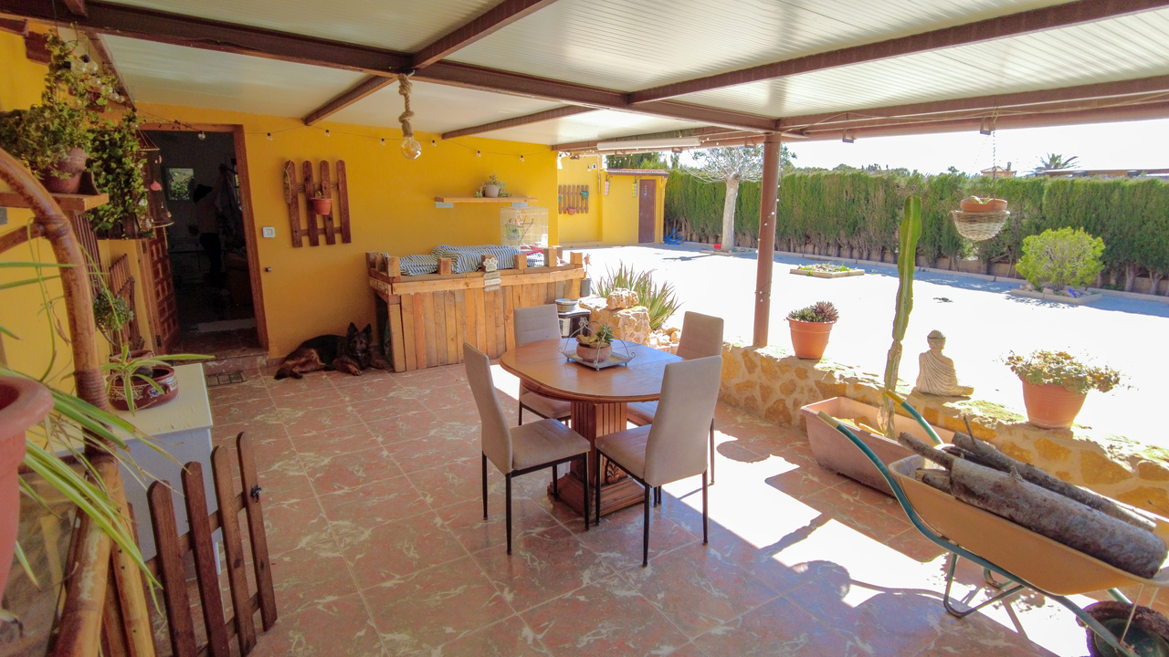 Olive Grove Estates Spanish Property Agency Caudete Alicante Best (32)