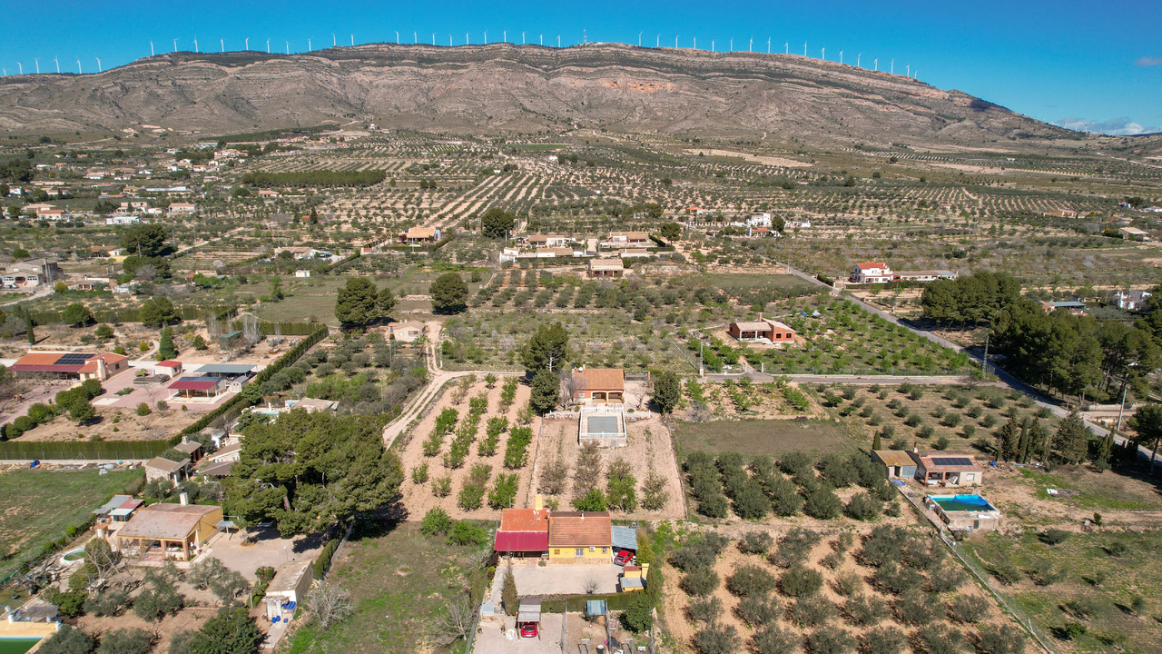 Olive Grove Estates Spanish Property Agency Caudete Alicante Best (33)